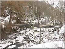 NY8452 : Footbridge over a semi-frozen River East Allen below Holms Linn (3) by Mike Quinn