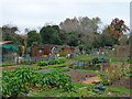 Andover - Allotments