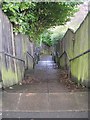 Footpath & Steps - Horton Rise