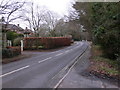 Sussex Road in Petersfield