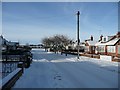 Beech Avenue, Flamborough