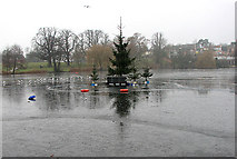 TM1179 : Christmas tree on frozen Diss Mere by Evelyn Simak