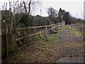 Cat on footpath at Warren Corner