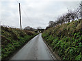 Narrow country lane at Burgh St Peter