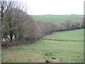 Trees and field boundary near Noss Mayo