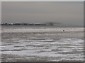 A view of a flock of birds over Hilbre