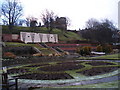 Wintry gardens in Filey