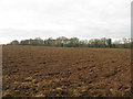 Field near Bevern Bridge