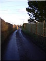 The road north at Barleywood Farm