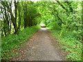 Houghton - The Test Way Footpath