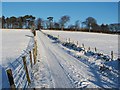 Track to Asker Farm