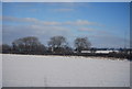 Snowy field between the A51 and West Coast Main Line