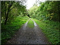 Stockbridge - The Test Way Footpath