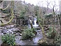 Waterfall in Penllergare Valley Wood