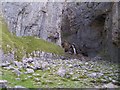 SD9164 : Gordale Scar waterfall by Raymond Knapman