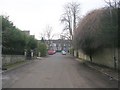 Springbank Place - looking towards Manningham Lane