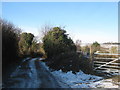 Bridleway to Beeches Farm