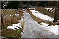 Icy access track, Leys of Lindertis, Airlie