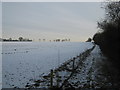 Bridleway beside Summerhouse Plantation