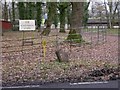 Wetwood Farm near Dunsfold