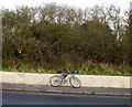 Hidden Pillbox