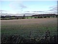 Stubble field off Royds Lane