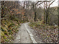 Track Along Naden Brook