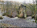 Ruins At Coal Bank