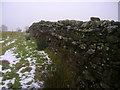 Dry stone wall north of Blacko Hill