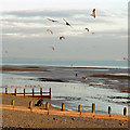 Low tide at East Worthing, West Sussex