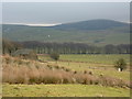 Small barn below Rushup Edge