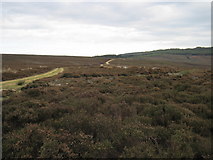 SE5792 : Track  to  Roppa  Wood by Martin Dawes