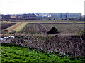 The Pfizer research labs from Richborough castle