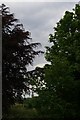 Tower of former Netherne Hospital, seen from across the valley