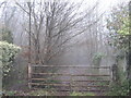 Gate near Burgh Wood