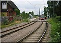 Harrington Road tram stop