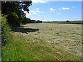 Farmland, Shoddesden, Kimpton