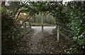 A bridge over Bradiford Water near Blakewell Mill Farm