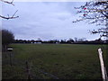 Field between Havant Road and Copse Lane