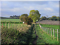 Track, East Hendred