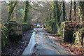 Old gateposts by Grenofen Bridge