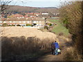 Footpath to Langwith