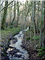 SK5470 : Small woodland stream by the A632 by Andrew Hill