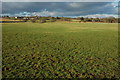 Farmland near Redmarley D