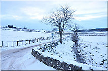 NC5905 : Allt Tomich and snow covered road near Balloan by Steven Brown
