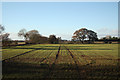 View from Wigsley Wood