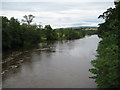 NY5046 : The River Eden from the bridge at Armathwaite by John Fielding