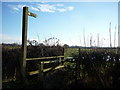 A footpath off Moor Lane, Murton