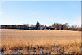 NH5845 : Farmland at Inchberry by Steven Brown