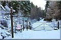 Signposted walks into the woodland at Mam Mor